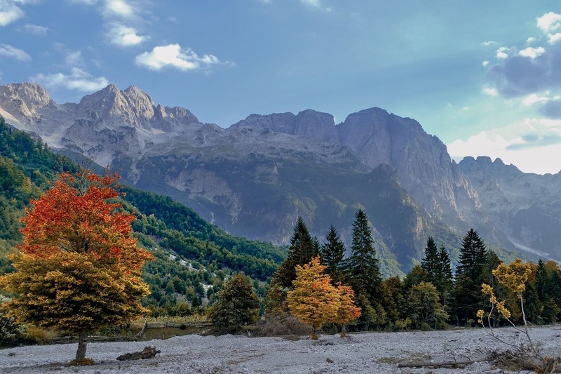 Albania image
